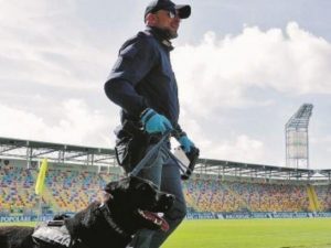 Lancia petardo durante l’incontro di calcio Frosinone Bari e ferisce pompiere, arrestato tifoso pugliese