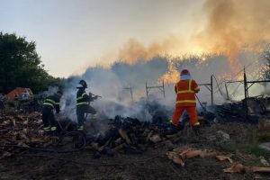 Sezze, notte di fuoco nel bosco: sette ore per domare l’incendio