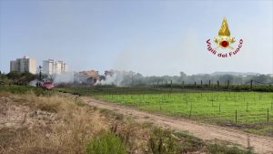 Fiamme in un canneto a Palermo, vigili del fuoco in azione