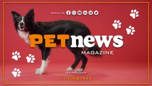 PetNews Magazine – 5/9/2023