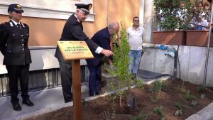 Ospedali più green, al via il progetto “Un albero per la salute”