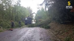 In Toscana chiusa la SS 12 per alberi caduti in carreggiata