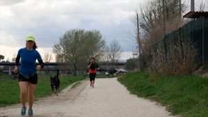 Cinofilia sportiva, Fidasc a sostegno del “cane-atleta”