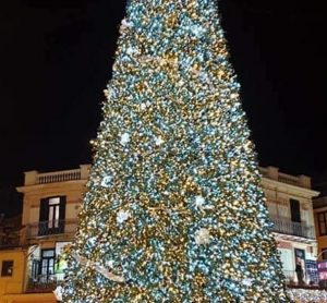 Albero e villaggio natalizio: pubblicati i bandi dal Comune di Cerveteri