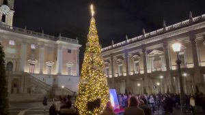 In Piazza del Campidoglio l’Albero dedicato alla Costituzione