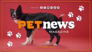 PetNews Magazine – 17/1/2024