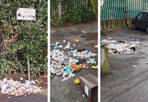 Viterbo, cassonetti rivoltati in zona Santa Maria in Gradi e scuola Vanni: “Uno scempio continuo” (FOTO)