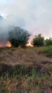 Tuscia in fiamme: incendi a Vasanello e Corchiano, intensa l’attività dei volontari