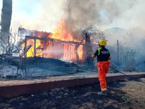 Rogo di Tuscania, “fondamentale il ruolo dei volontari per domare le fiamme ed evitare ulteriore devastazione”