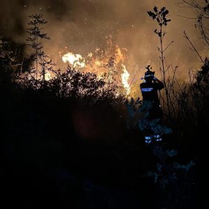 Incendi in Ciociaria bruciano ettari di macchia mediterranea