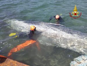 Balenottera di 11 tonnellate rimane incastrata tra le barche ormeggiate a Talamone: recuperato il corpo dai Vigili del Fuoco