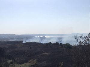 Cesano – L’inferno di fiamme ora si sposta verso Campagnano, prosegue l’emergenza