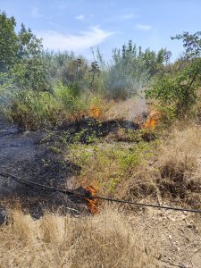 Cerveteri devastante incendio in zona Inferi: chiesto l’intervento del Canadair (FOTO)