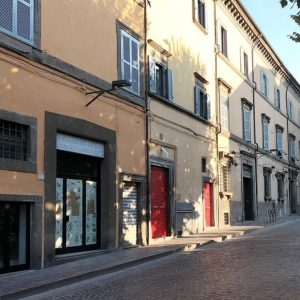 Viterbo – A Piazza San Faustino è in arrivo la Libreria dei Salici