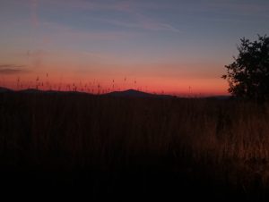 Astronomia, magica notte di San Lorenzo al Parco di Vulci (FOTO)