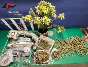 Droga al posto del vino, sorianese trovato con un chilo di marijuana in cantina: arrestato