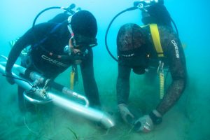 Terna avvia in Sicilia il trapianto sperimentale di Cymodocea nodosa