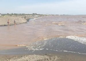 Mare, Goletta verde boccia Tarquinia e promuove Montalto