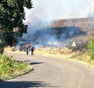 Bolsena – Importante incendio al confine con il comune di Orvieto