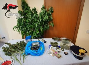 Faleria – Produceva marijuana in casa e la spacciava, arrestato dai carabinieri