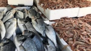 Fiumicino, sequestrati 320 kg di pesce privo dei requisiti di tracciabilità