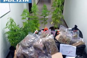 Viterbo – Aveva in casa 39 chili di marijuana, arrestato un 49enne