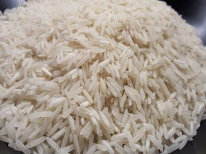 Il Riso basmati del Pakistan non sarà Igp. Lollobrigida: “Governo in prima linea per proteggere le produzioni italiane”