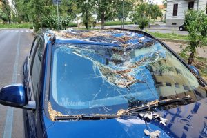 Maltempo, cade un albero su un’auto a Porta Faul