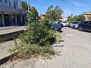 Viterbo – Via Cardarelli, i residenti: “Via Nagni e il parcheggio come una giungla, non si vede l’incrocio”