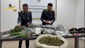 Sequestrata a Benevento piantagione canapa indiana e 50 kg marijuana