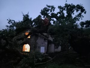 Montefiascone – Quercia si abbatte sulla chiesetta della Madonna della Valle e provoca ingenti danni