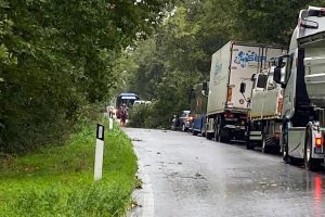 Montefiascone – Cadono due alberi, traffico bloccato sulla Cassia nord