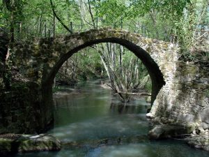 Acquapendente – La sindaca Terrosi: “Regione vuole sottrarre riserva Monte Rufeno alla comunità”