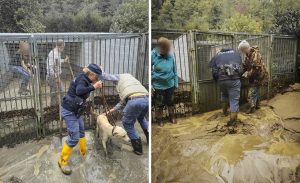 Bologna sotto l’acqua, la Polizia salva “i pelosetti” intrappolati nei canili