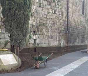 Viterbo – Passeggiata sotto le mura, Arena: “Scompare il verde anche a Piazzale Gramsci”