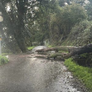 Maltempo e nubifragi, Tuscia e litorale flagellati (FOTO e VIDEO)