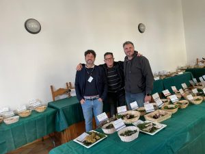 Castiglione in Teverina – Al via la mostra micologica con 200 specie di funghi freschi della Tuscia (FOTO)