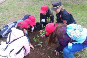 I carabinieri celebrano “Maria Virgo Fidelis”, la Celeste Patrona dell’Arma