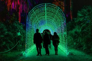 Roma – L’Orto botanico si illumina con la mostra natalizia “Trame di luce”