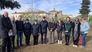 Viterbo – Giornata nazionale degli Alberi, il Comune dona due alberi agli istituti Canevari e Vanni