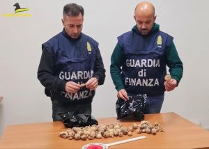 Terracina, trovato in casa con 100 bulbi di papavero da oppio: denunciato cittadino indiano