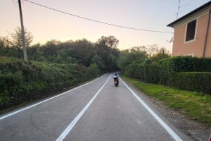 Roma – Alberi pericolanti, riaperta via Portuense