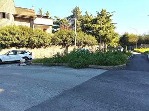 Viterbo – Pianoscarano: “Incrocio completamente coperto da erba alta, non si vedono le auto in arrivo”