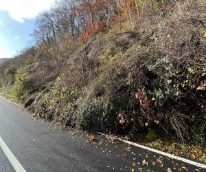 Ronciglione – Frana sulla strada Valle di Vico, la Provincia: “Senso unico alternato entro la prossima settimana”