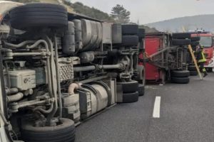 Trieste – Camion carico di bestiame si ribalta, morti alcuni animali (FOTO)