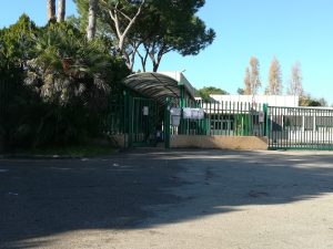 Latina: scuola invasa da topi in via Bachelet, riunione in comune per intervento straordinario