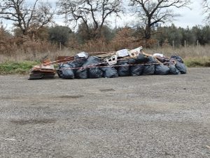 Viterbo, completamente ripulita l’isola di prossimità di San Lazzaro