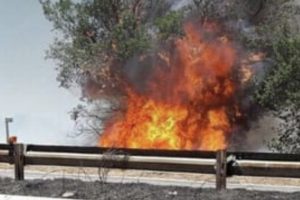 Roma – Incendio sull’A24, fiamme a ridosso dell’autostrada e fumo in carreggiata