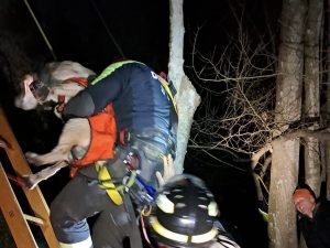 Tolfa – Cane cade in un dirupo, recuperato dai Vigili del fuoco (FOTO)