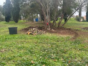 Prosegue la “cura del verde” a Montalto: dopo via Tevere e strada Castrense, ecco il recupero di Piazza Vulci